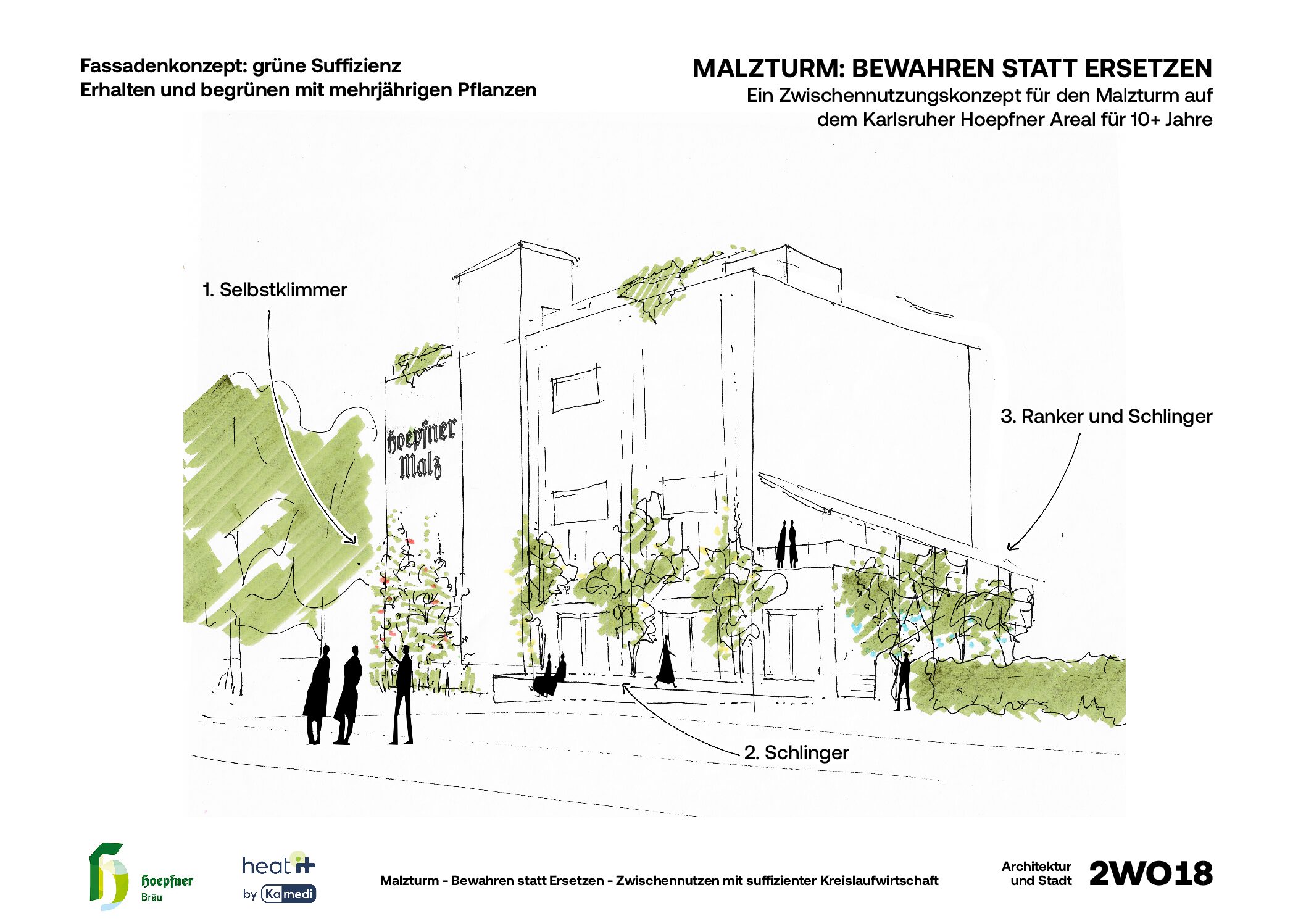 Grüne Suffizienz als Fassadenkonzept
Am Malzturm wird der positive Einfluss von Fassadenbegrünung in mehrerlei Hinsicht genutzt: als thermische Verbesserung fürs Gebäude, als wirtschaftliches Gestaltungselement und nicht zuletzt als ein Beitrag zum Klimaschutz und zur Biodiversität. Die Pflanzen absorbieren CO2, binden Feinstaub und schaffen Lebensräume für Tiere und Pflanzen.